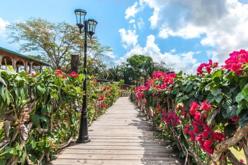 Dream Valley Belize