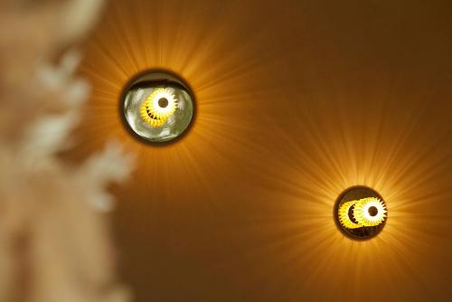 Chambre d'Amis by Alix - image 8