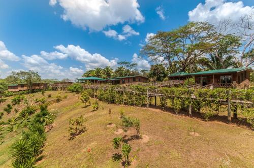 Dream Valley Belize