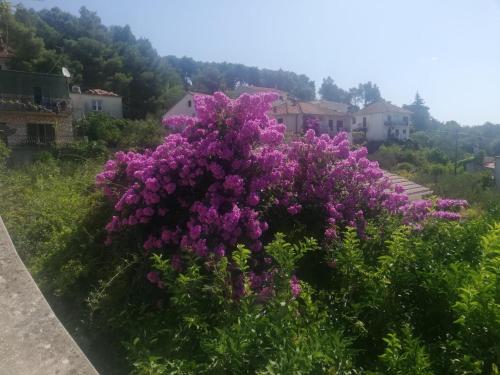  Apartments Marija2 - close to the center in Jelsa