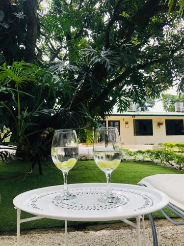 حديقة, Hotel Mango Airport in ألاخويلا