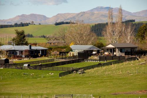 Shearvue Farmstay with Optional Free Farm Experience at 5pm