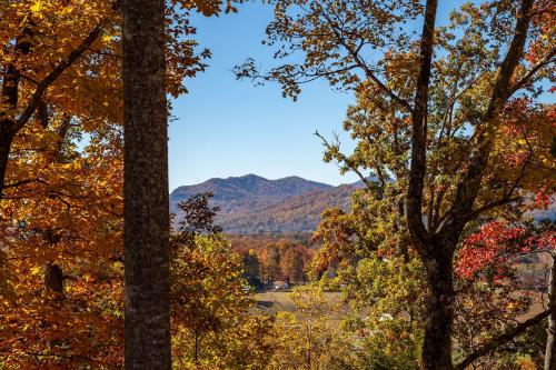 Bama Bears Den Cabin in Sevierville, USA