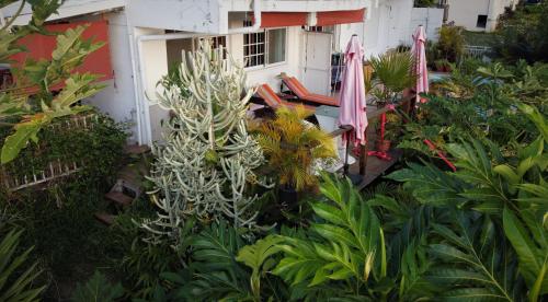 Manava Tahara'a Home Stay in ตาฮิติ