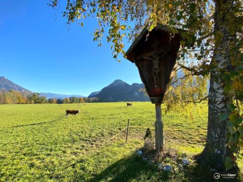 Art House - Luxurioses Design Ferienhaus mit privatem Atelier und Sudterrasse im Inntal - 149 qm