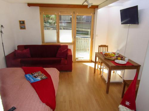 Apartment Sungold-2 by Interhome, Zermatt (fotografie 3)