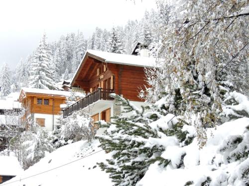 Chalet Les Clarines by Interhome, Pension in Grimentz