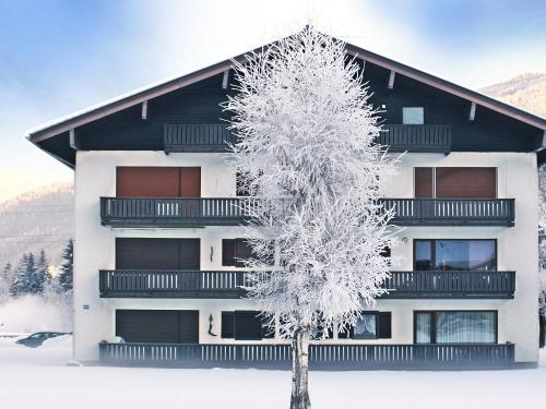 Apartment Dachstein Top 27 by Interhome in Flachau