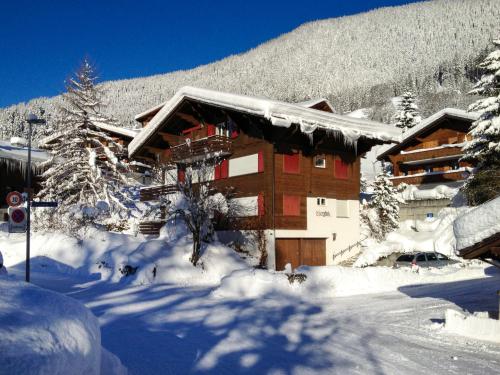 Fantastic view, cosy flat in chalet Bergfink