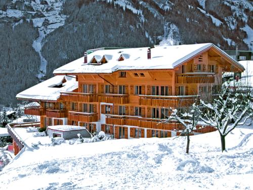 Chalet Abendrot 2 - Apartment - Grindelwald