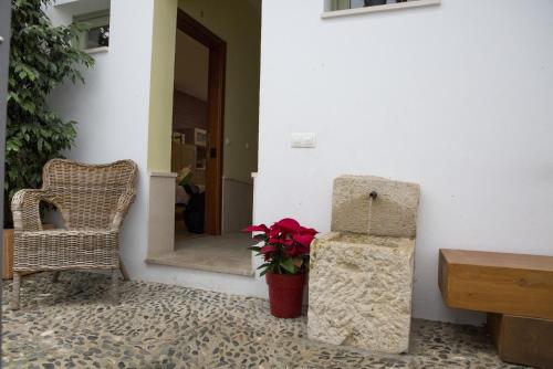Duplex Apartment
