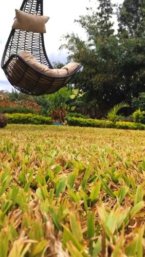 tuin, Bloom private home in Thika