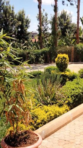 Omgeving, Bloom private home in Thika