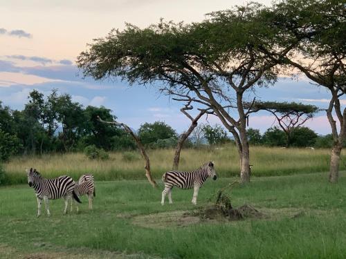 Muluwa Lodge