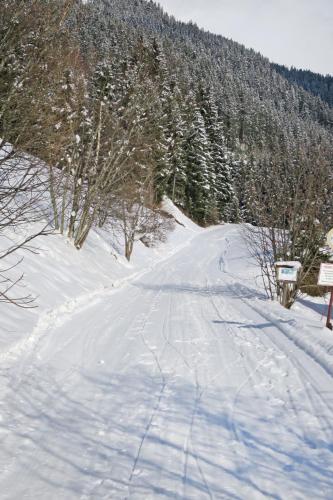 Apartment Gasthof Almluft-4 by Interhome