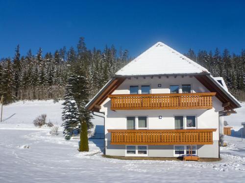 Apartment Fischer by Interhome in Eisenbach (Hochschwarzwald)