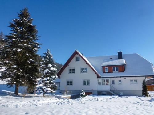 Apartment Fischer by Interhome in Eisenbach (Hochschwarzwald)