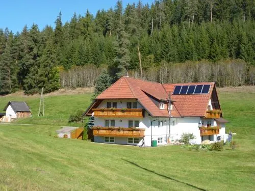 Apartment Fischer by Interhome in Eisenbach Hochschwarzwald, Deutschland