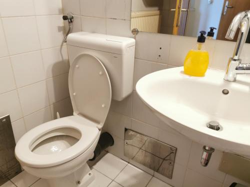Dunajska Apartment, Liubliana (foto 11)