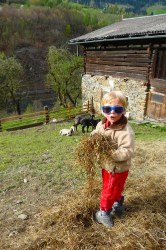 Apartment Grün by Interhome Apartment Grün by Interhome