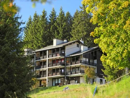 Apartment Les Petites Maraîches 132-389 by Interhome in Taveyannaz, Schweiz