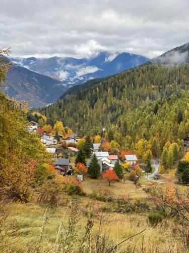 Magnifique chalet avec SAUNA