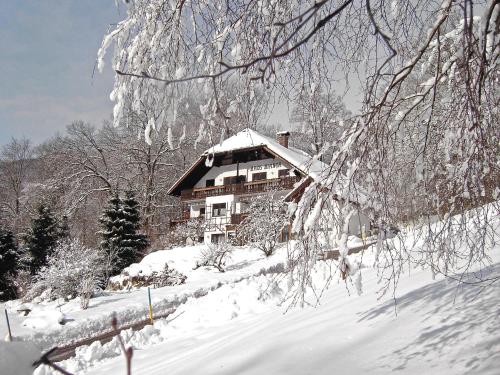 Apartment Sterngut.8 - Unterach am Attersee