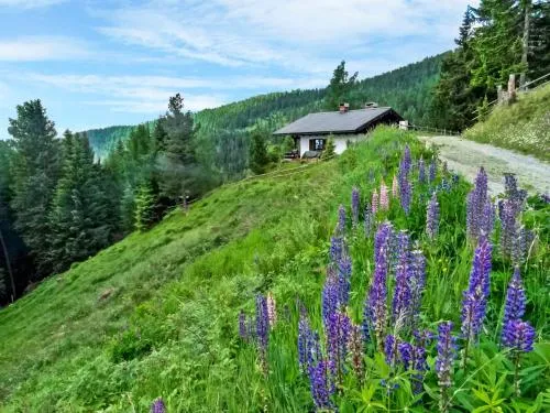 Holiday Home Lotte by Interhome in Sirnitz-Sonnseite, Österreich
