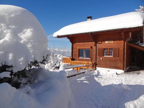 Chalet Zan-Fleuron - Arveyes