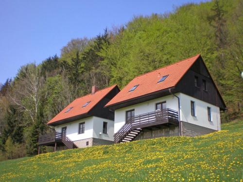 Holiday Home Stárkov by Interhome