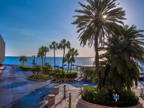 Apartment Tampa Waterfront-6 - image 6