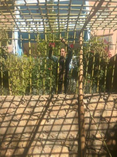 A secret garden