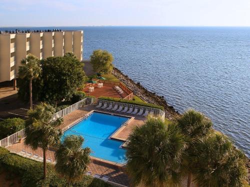 Apartment Tampa Waterfront-10 - image 11