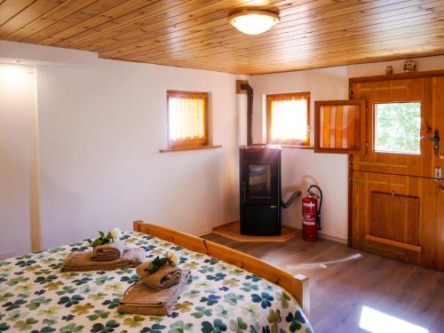 Holiday Home Rustico Catcüc by Interhome