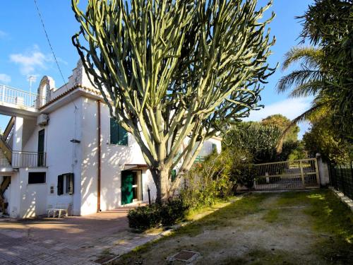 Locazione Turistica Rosa dei Venti del Sud gîte à louer Porto Casa Ciano