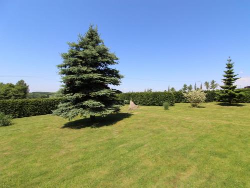 Holiday Home Rokytnice v Orlických horách by Interhome (Holiday Home Rokytnice v Orlickych horach by Interhome) in Світави