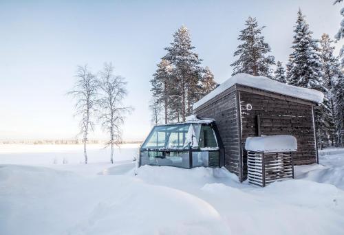 Arctic Fox Igloos