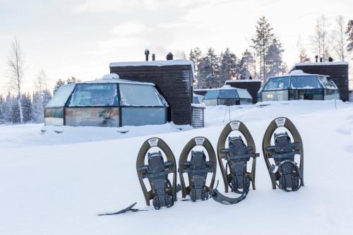 Arctic Fox Igloos - image 10