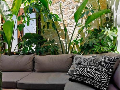 Casa Rural Albireo, rebosante de luz y naturaleza in Sanlucar De Guadiana