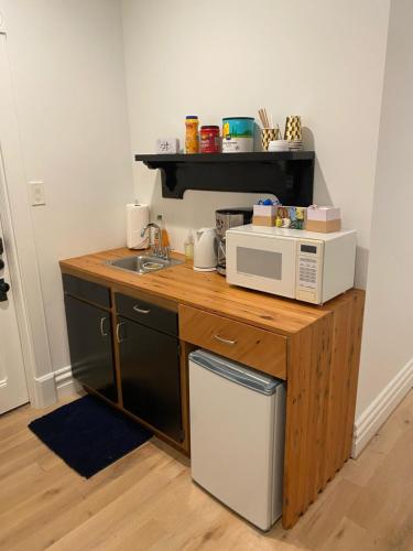Beautiful Northside Victorian - walking distance from stadiums
