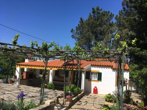 Casas de campo em cerejal