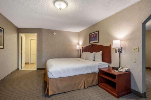 One-Bedroom King Suite with Jetted Tub