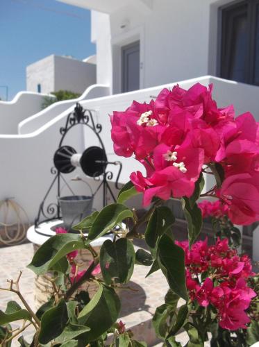 Anemos Studios, Adamas (fotografie 5)