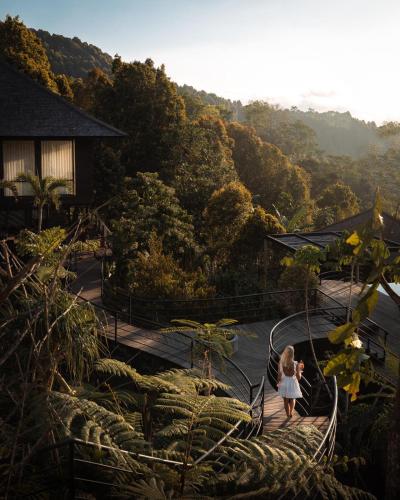 Munduk Cabins by Desa Hay
