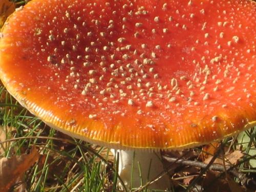 Zeeland aan Zee in Haamstede