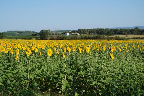 Le Clos des Troubadours