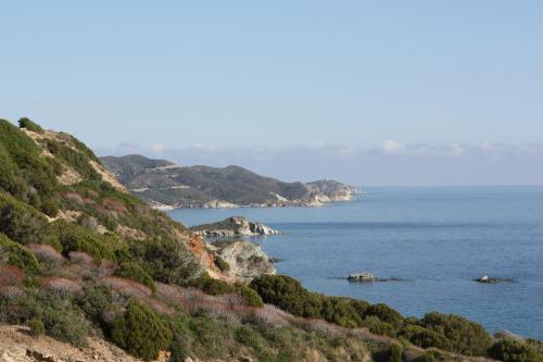 Hotel Jasmine - image 14