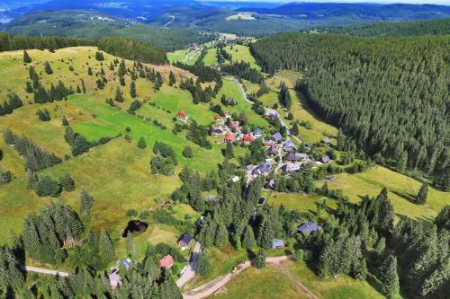 Schwarzwald Aparthotel Kräutle - image 14