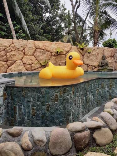 Kayu81- Beautiful Pool Vila Ubud Mountain View 2BR