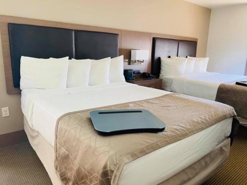 2 queen beds